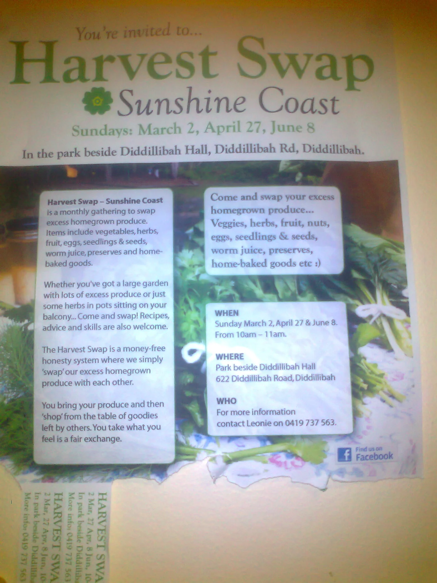 great idea organised by Gangotri